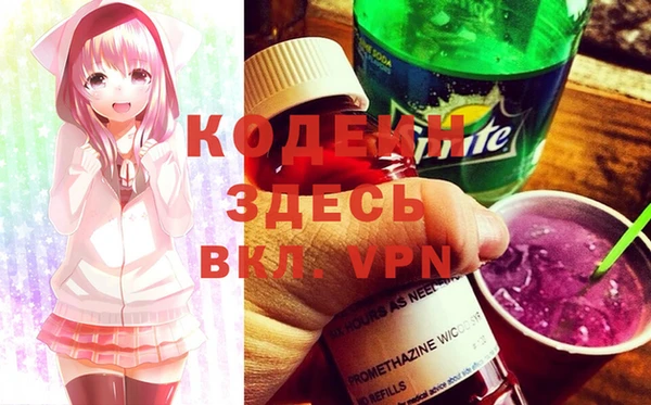 мдпв Каменка