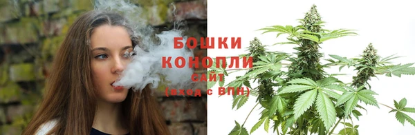 мдпв Каменка