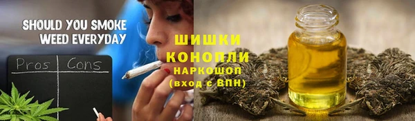 тгк Каменногорск