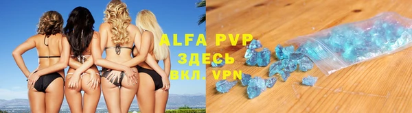 мдпв Каменка