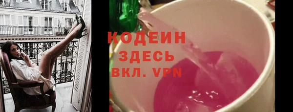 мдпв Каменка