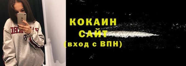 мдпв Каменка
