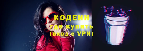 мдпв Каменка