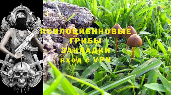 мдпв Каменка