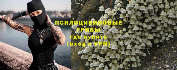тгк Каменногорск