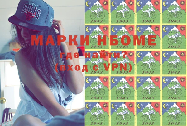 мдпв Каменка