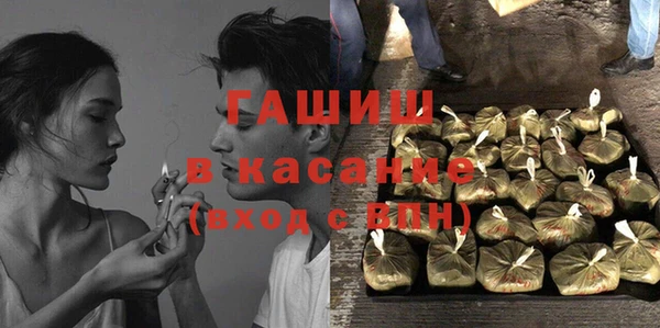 мдпв Каменка