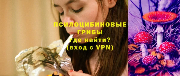 тгк Каменногорск