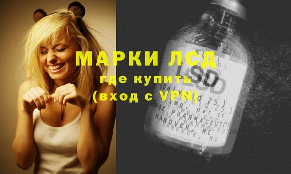 мдпв Каменка