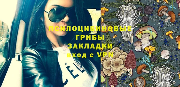 тгк Каменногорск