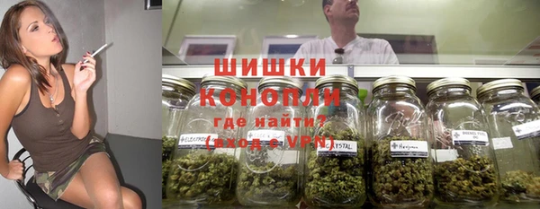 мдпв Каменка