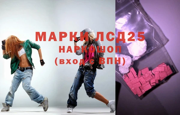 мдпв Каменка