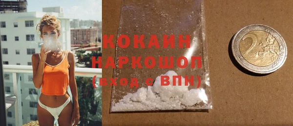 мдпв Каменка