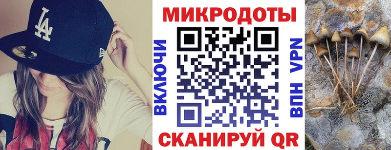 Купить  Бежецк  Псилоцибиновые грибы Psilocybe 