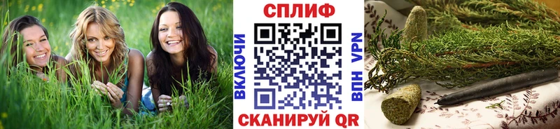 Купить закладки  Бежецк  Канабис гибрид 